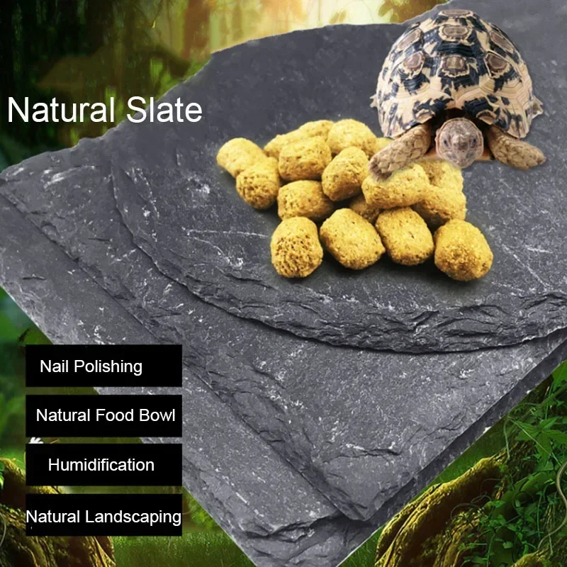 Aquarium Fish Pot - Natural Slate Aquarium Pet Reptile Feeder