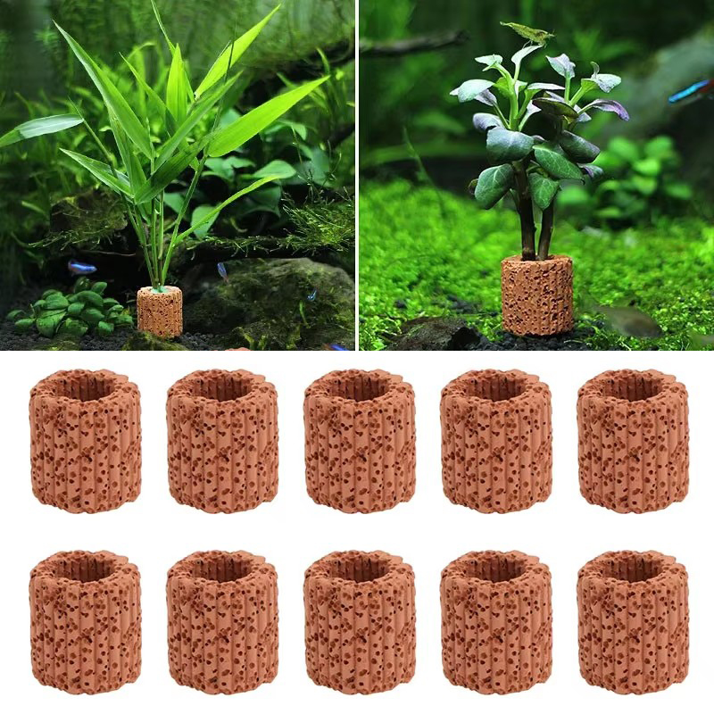 Aquarium Fish Pot - 20 Chiếc Thủy Sinh Nước Nhẫn