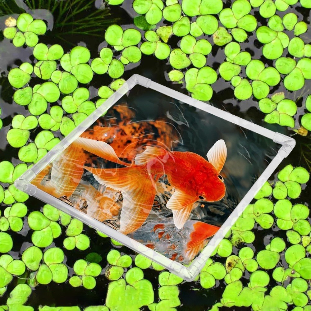 Aquarium Fish Zone - Aquarium Floating Plant Corral for Acrylic