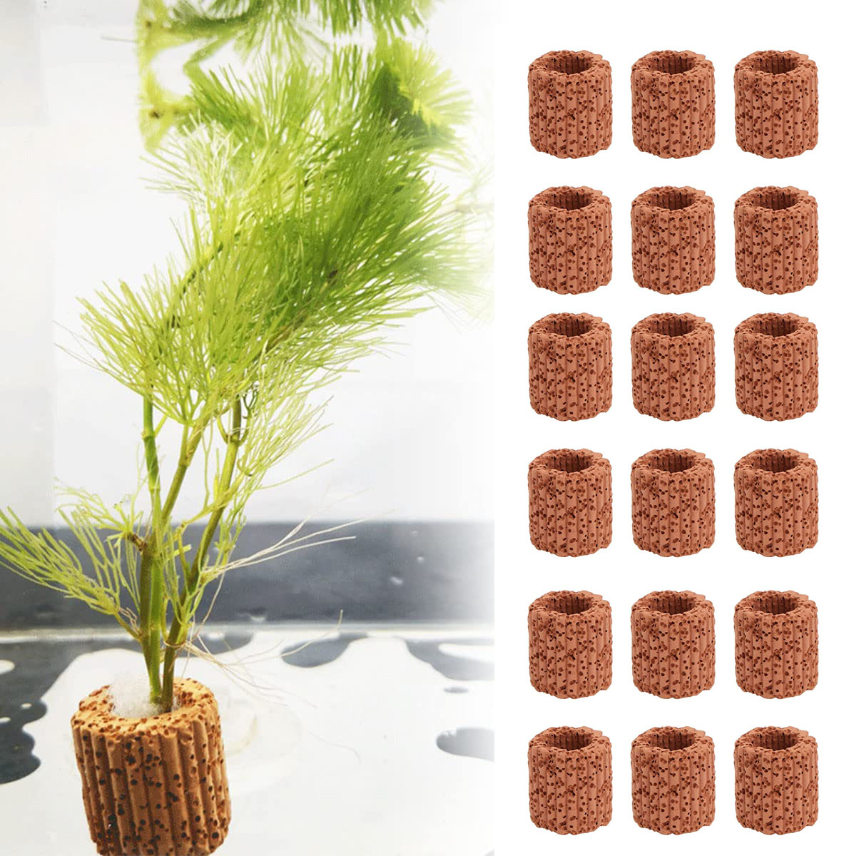 Aquarium Fish Pot - 20 Cái/lốc Thủy Sinh Nước Nhẫn
