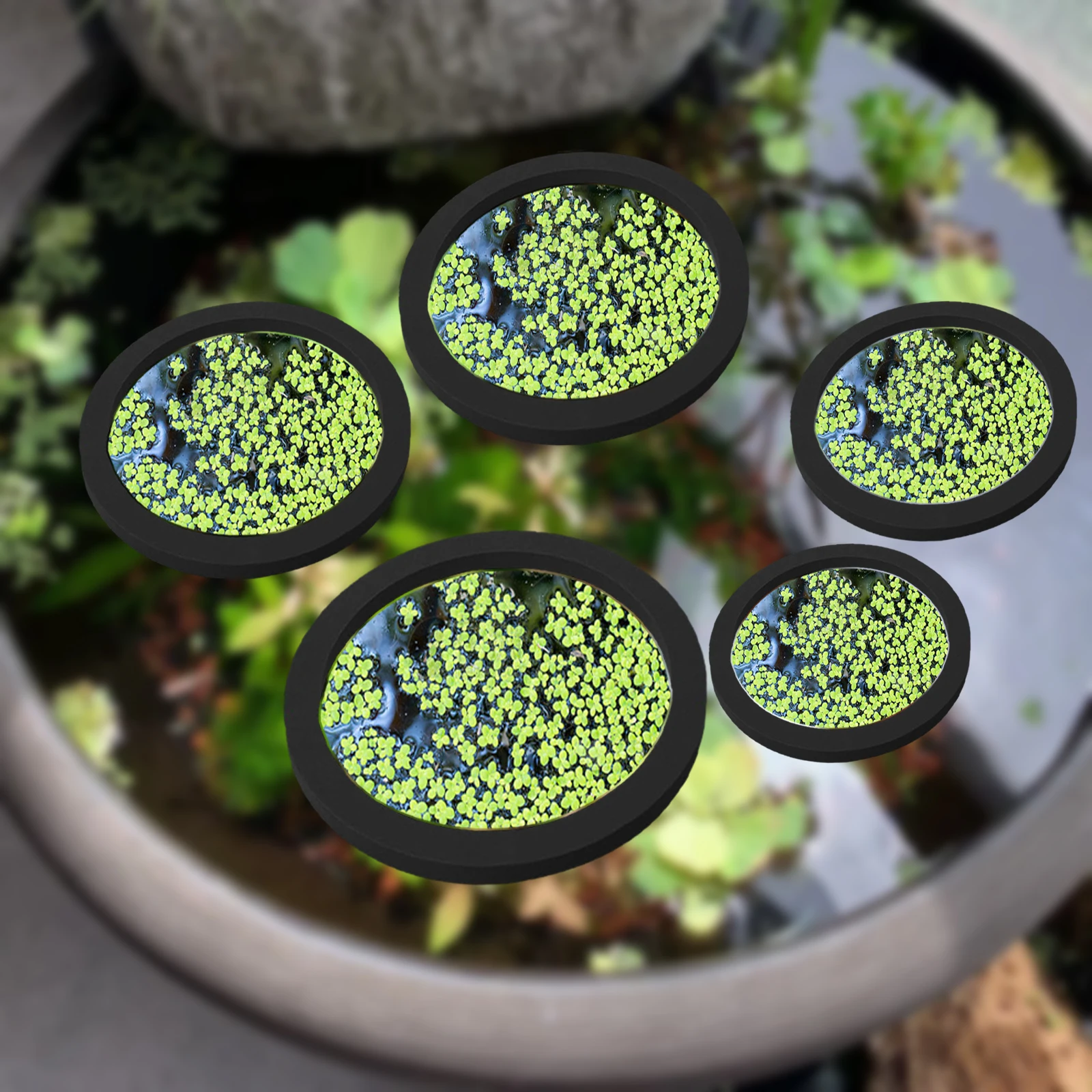 Aquarium Fish House - 5Pcs EVA Fish Feeding Ring Aquarium