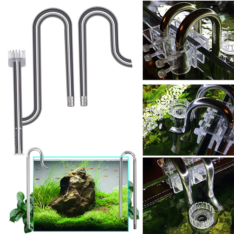 Aquarium Fish Price - Mới Cá Lily Ống Thép Không