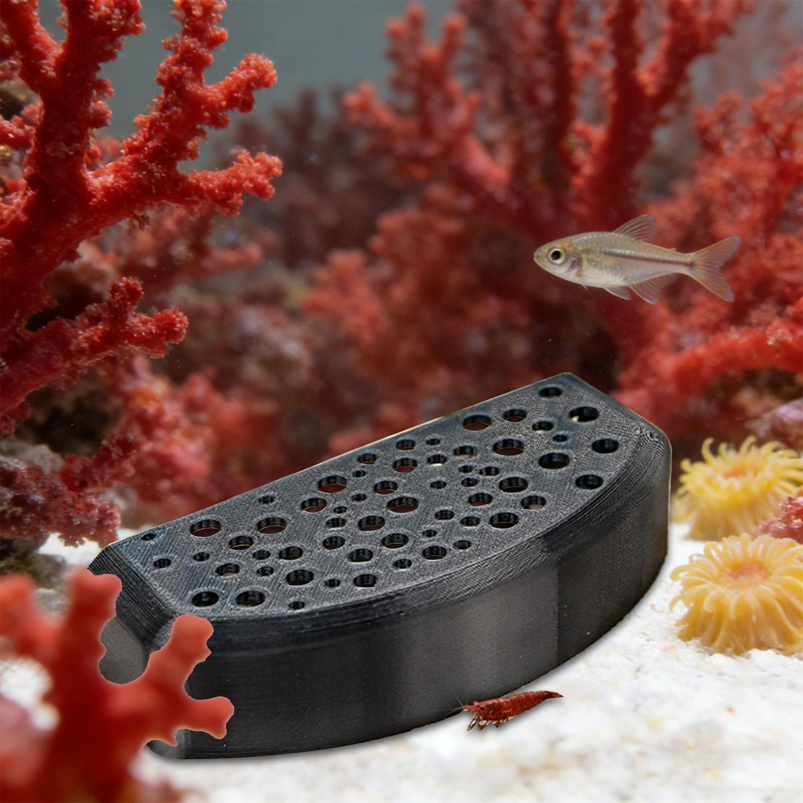 Aquatic Pet Rest Ornament Mult - đánh giá và giá Aquarium Fish Zone