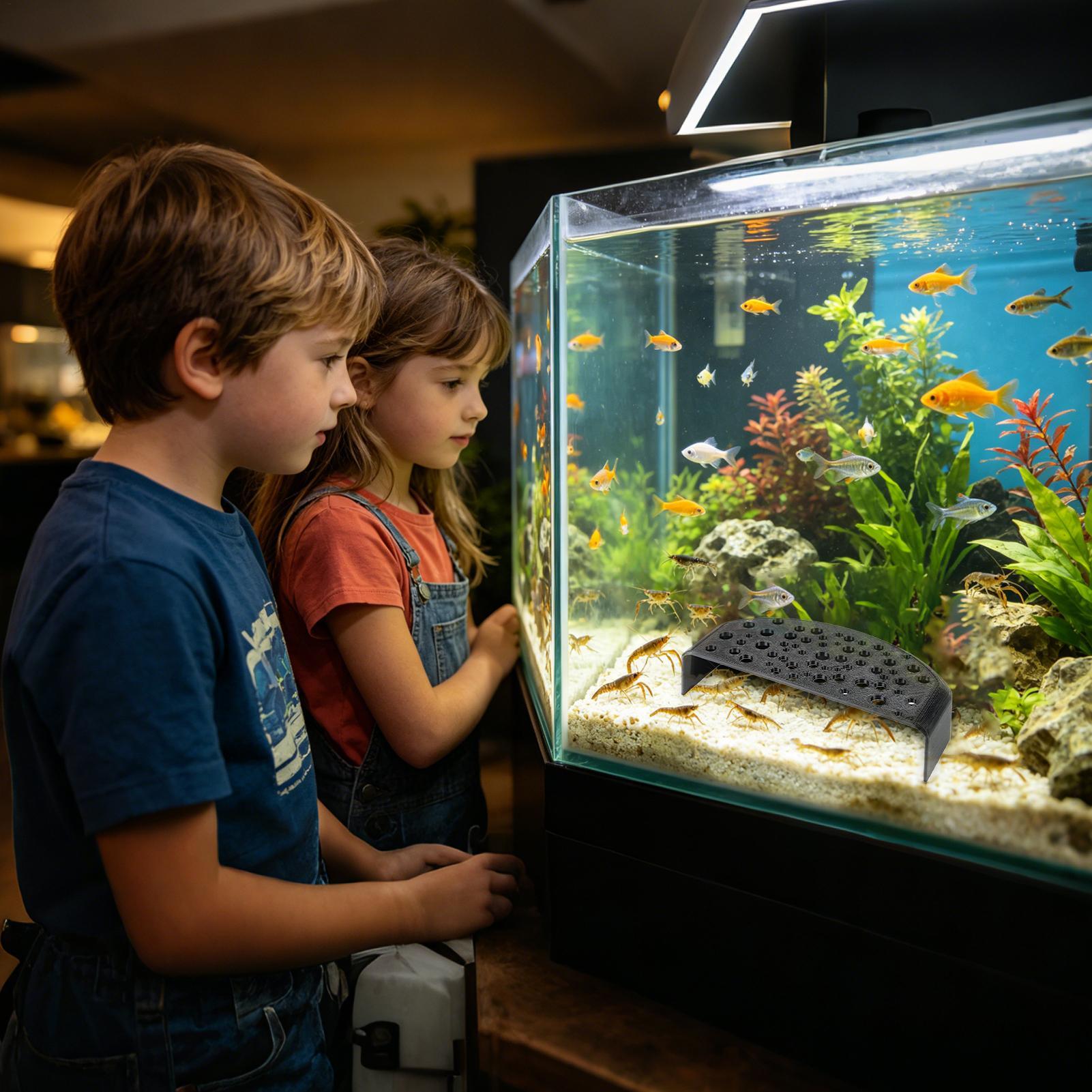 Aquatic Pet Rest Ornament Mult - đánh giá và giá Aquarium Fish Zone