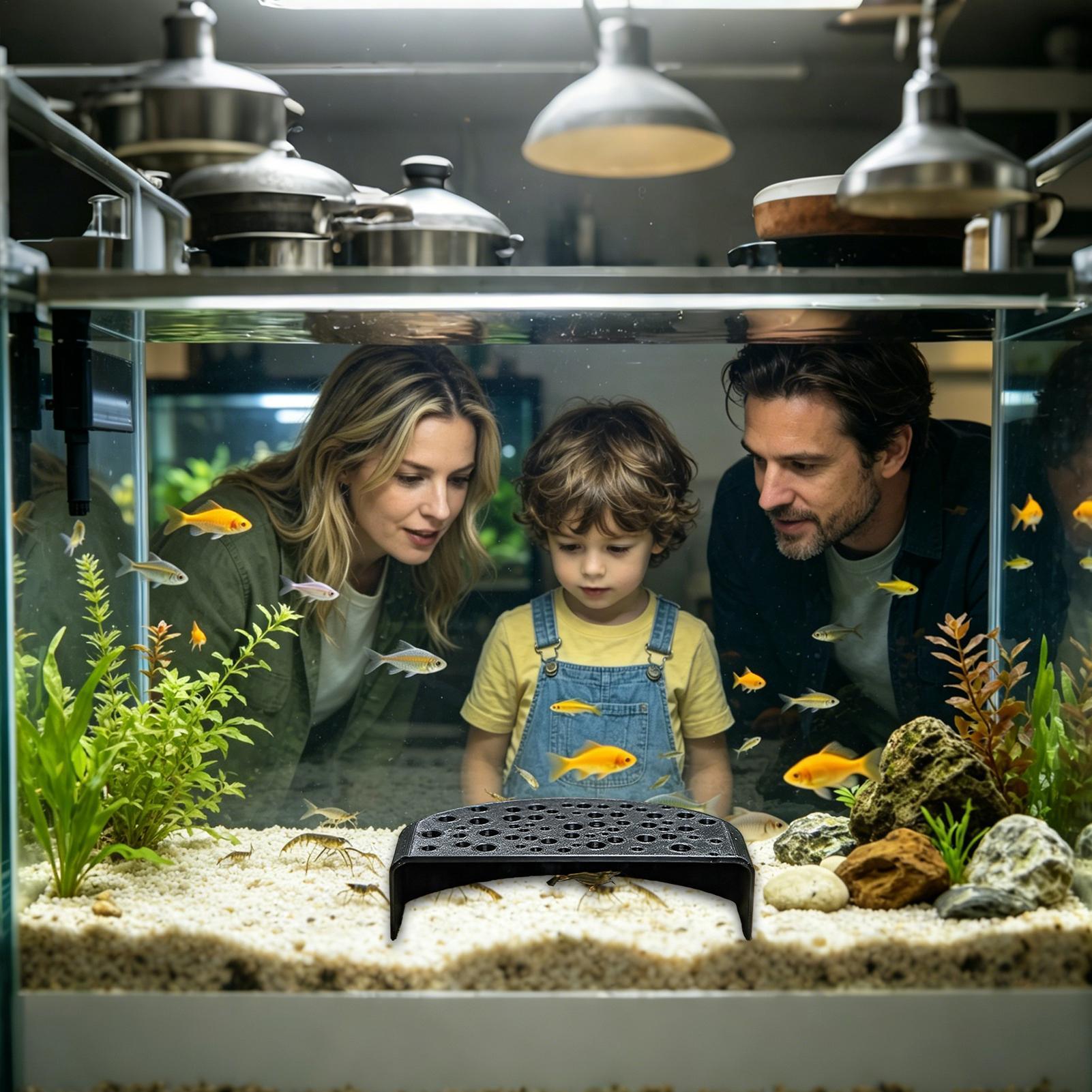 Aquatic Pet Rest Ornament Mult - đánh giá và giá Aquarium Fish Zone