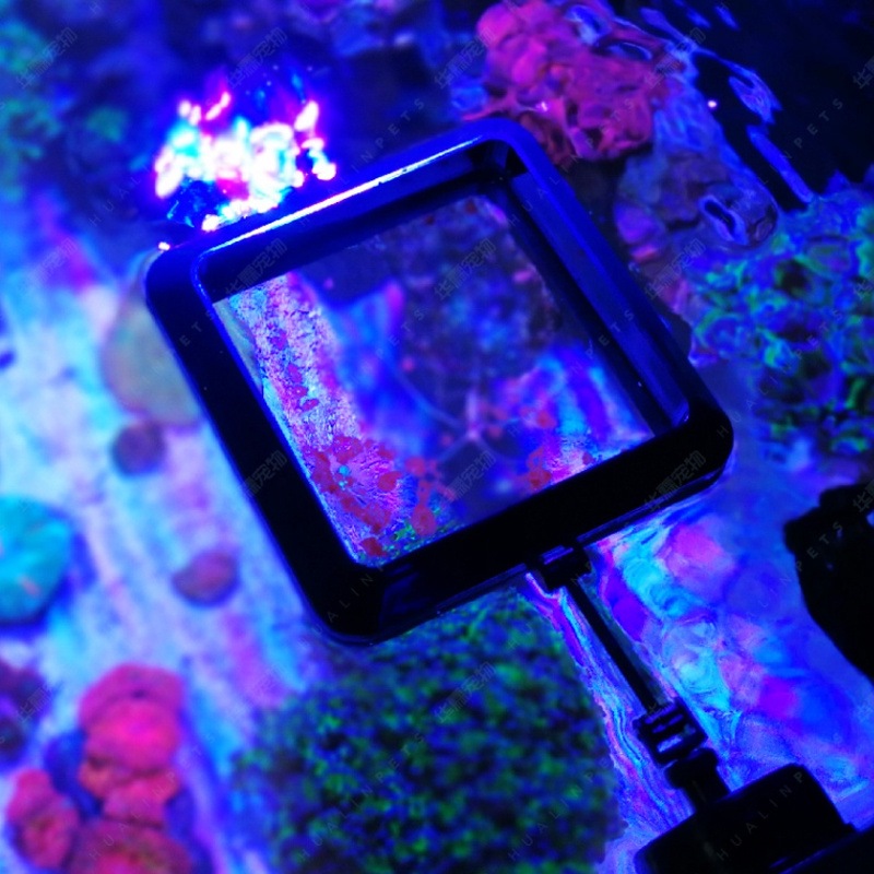 VASTOCEAN Magnetic Feeding Rin - đánh giá và giá Aquarium Fish Price