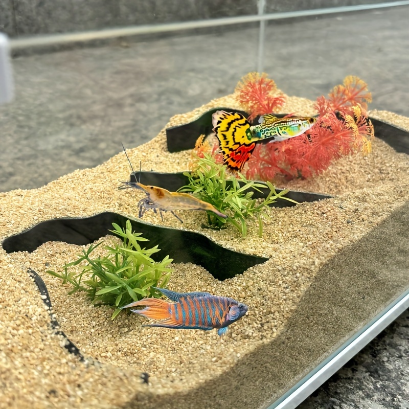 3-piece aquarium isolation wal - đánh giá và giá Aquarium Fish Zone