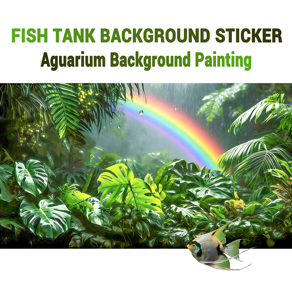 Rainforest Rainbow，fish tank b - đánh giá và giá Aquarium Fish Rainbow
