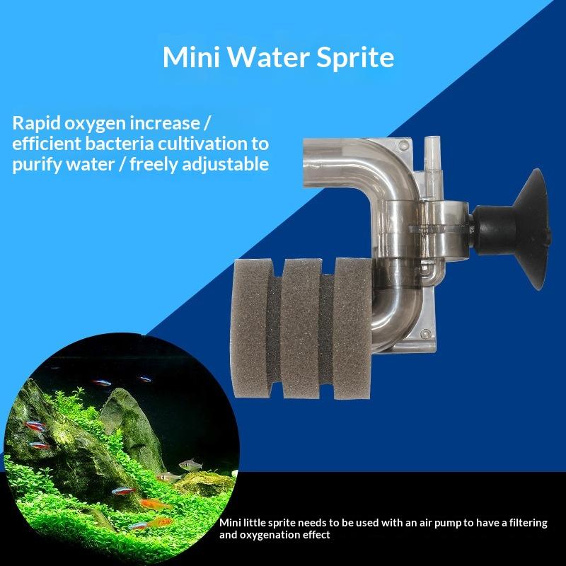.Hot Sale-Mini Aquarium Sponge - đánh giá và giá Aquarium Fish Price