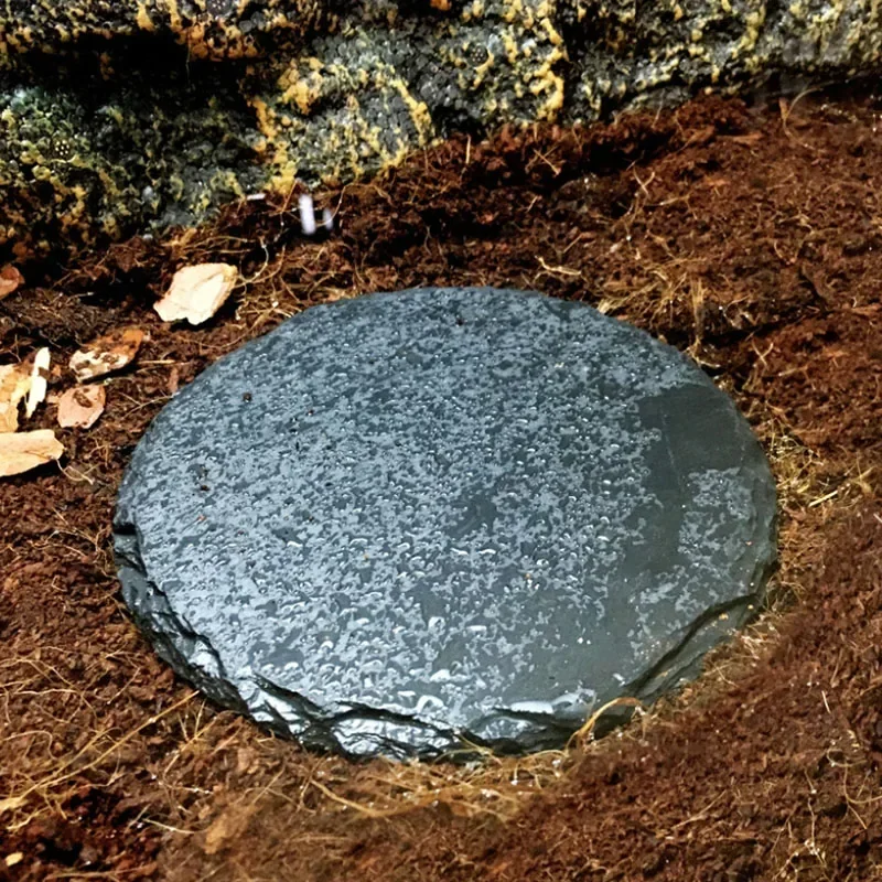 Natural Slate Aquarium Pet Rep - đánh giá và giá Aquarium Fish Pot
