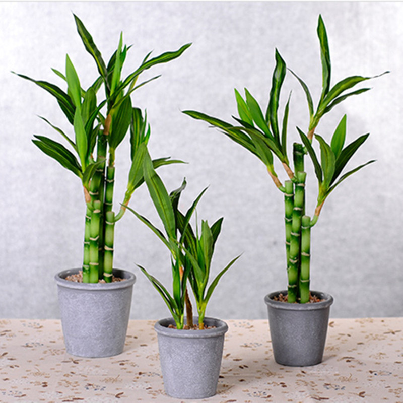 Mới 40Cm RFtificial May Mắn Tr - đánh giá và giá Aquarium Fish Pot