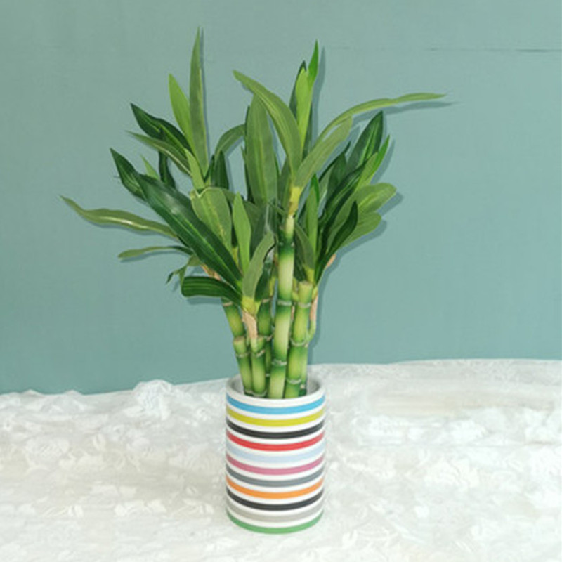 Mới 40Cm RFtificial May Mắn Tr - đánh giá và giá Aquarium Fish Pot