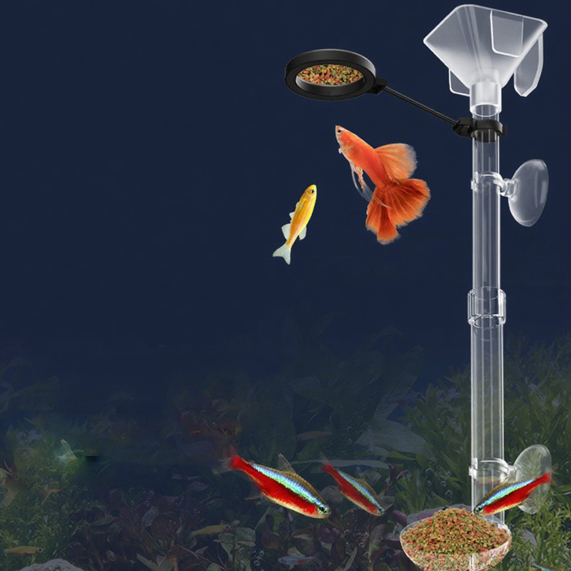 Acrylic Aquarium Fish Feeder T - đánh giá và giá Aquarium Fish Price