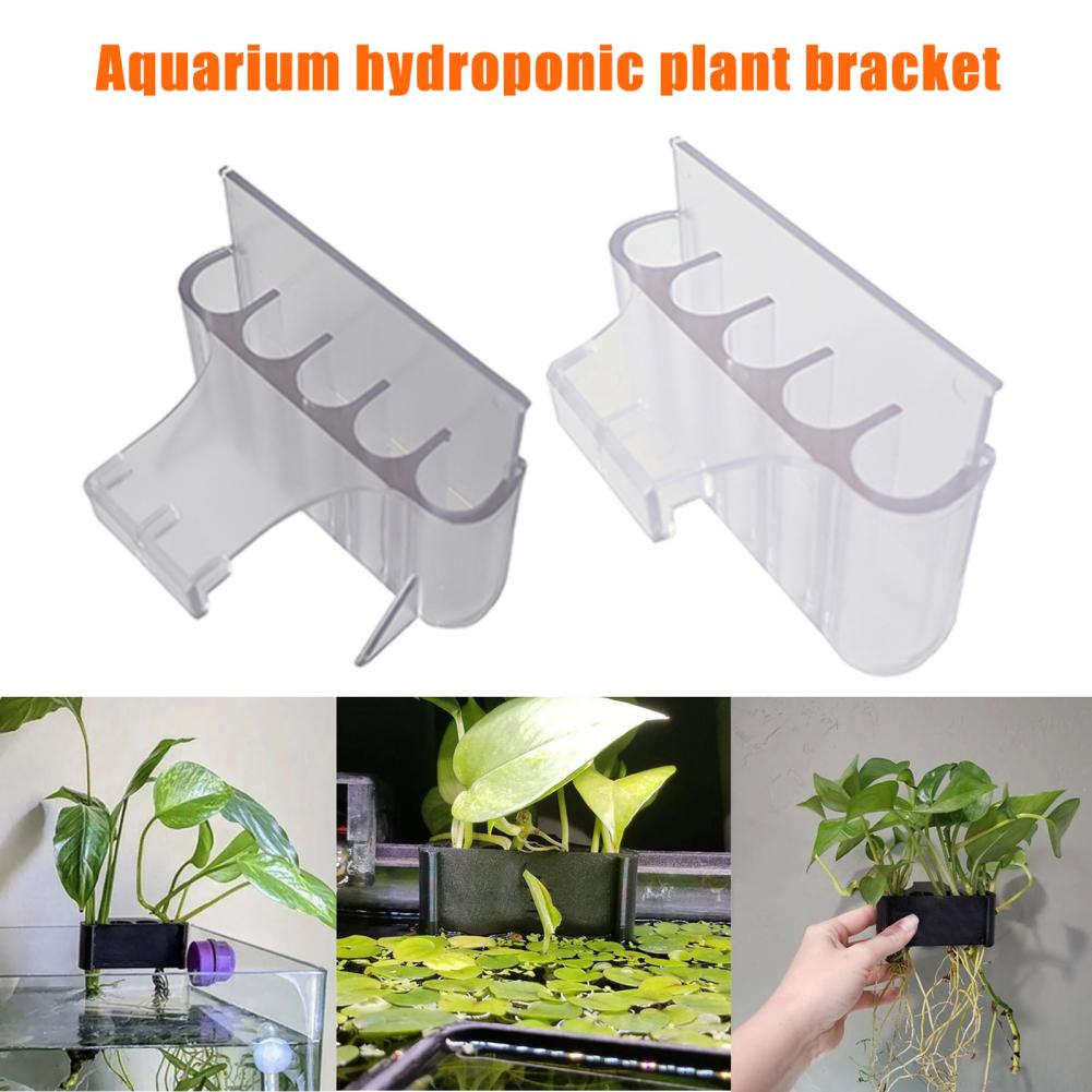 4.5/6.5cm Aquarium Plant Holde - đánh giá và giá Aquarium Fish Pot