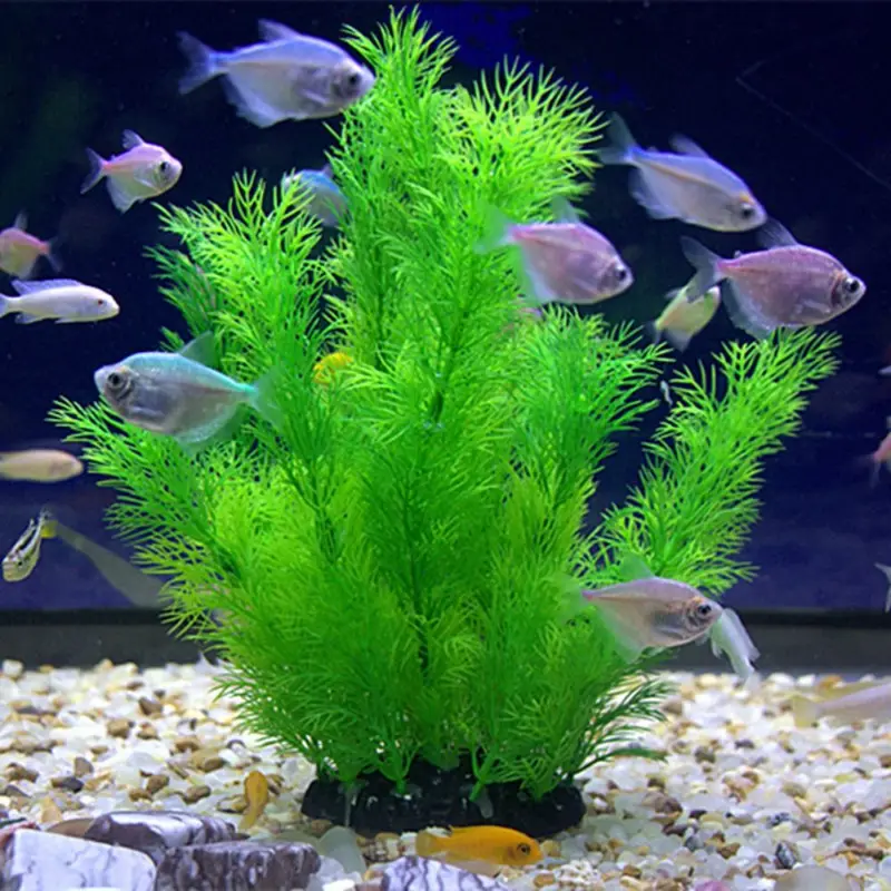 Artificial Aquarium Decor Plan - đánh giá và giá Aquarium Fish Artificial