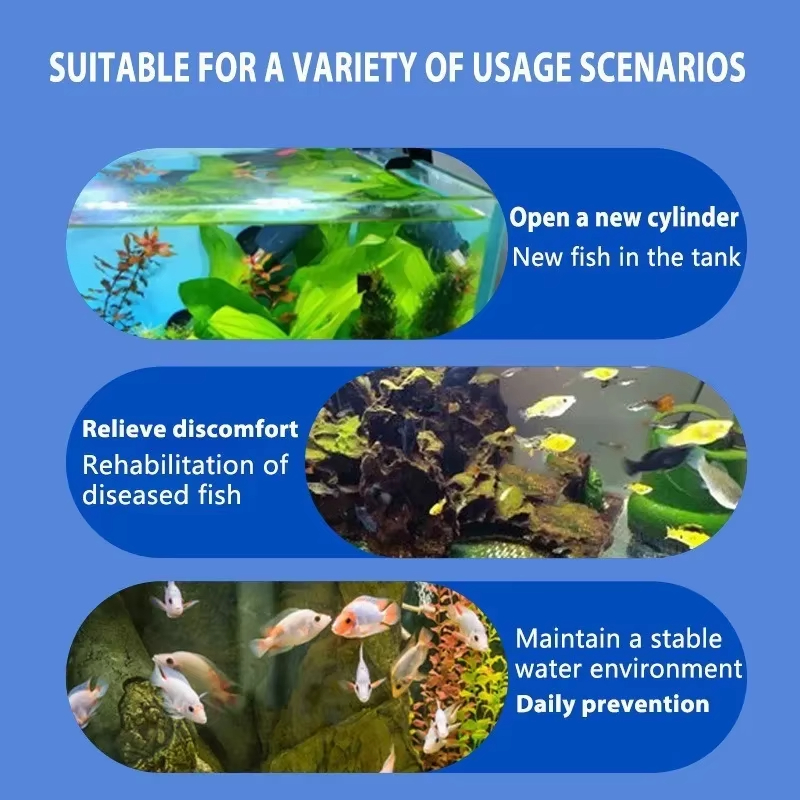 SIKEZHAN Fish Disease Treatmen - đánh giá và giá Aquarium Fish Saltwater