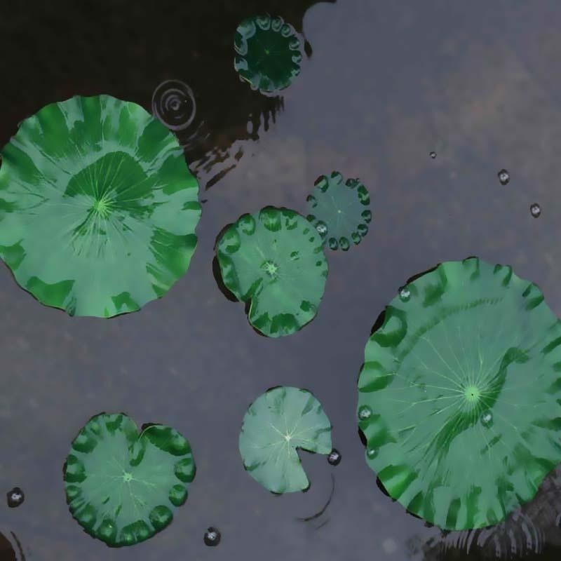 2026 Artificial Water Lily Lot - đánh giá và giá Aquarium Fish Artificial
