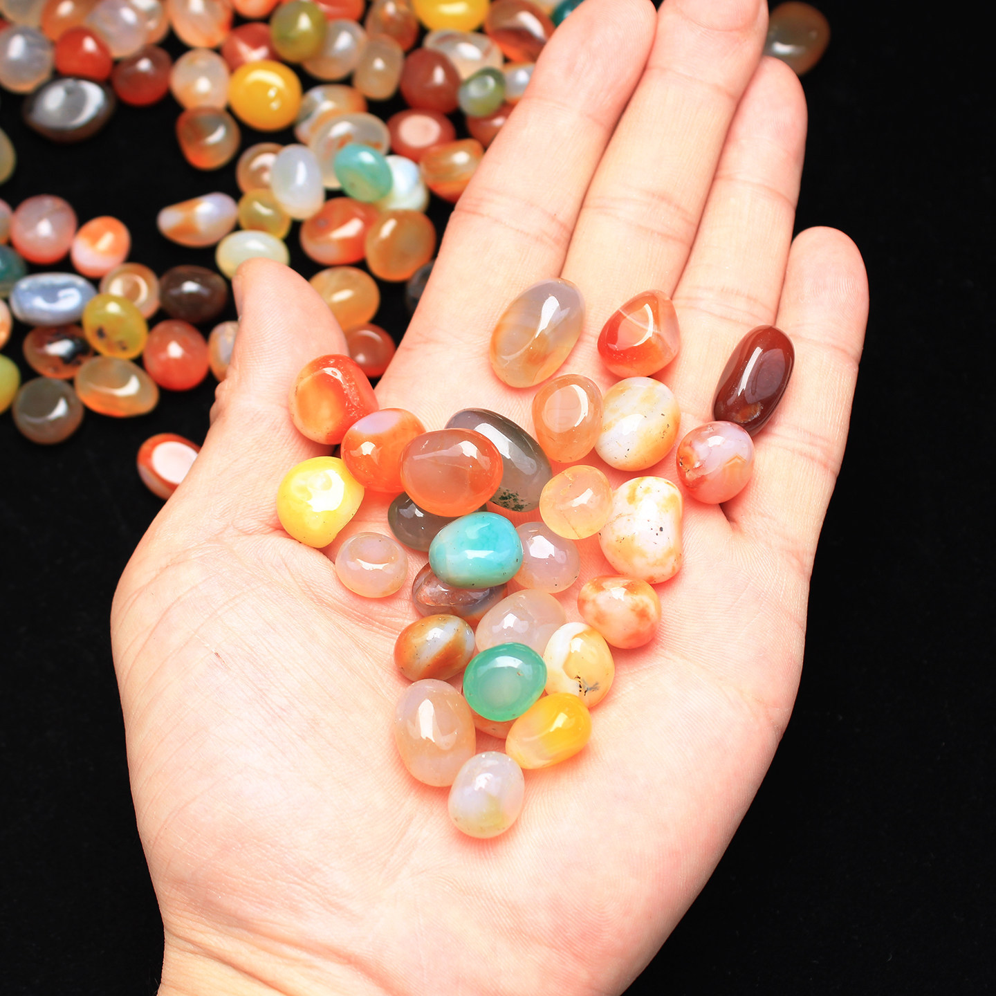 JH103 Natural Colorful Agate G - đánh giá và giá Aquarium Fish Rainbow