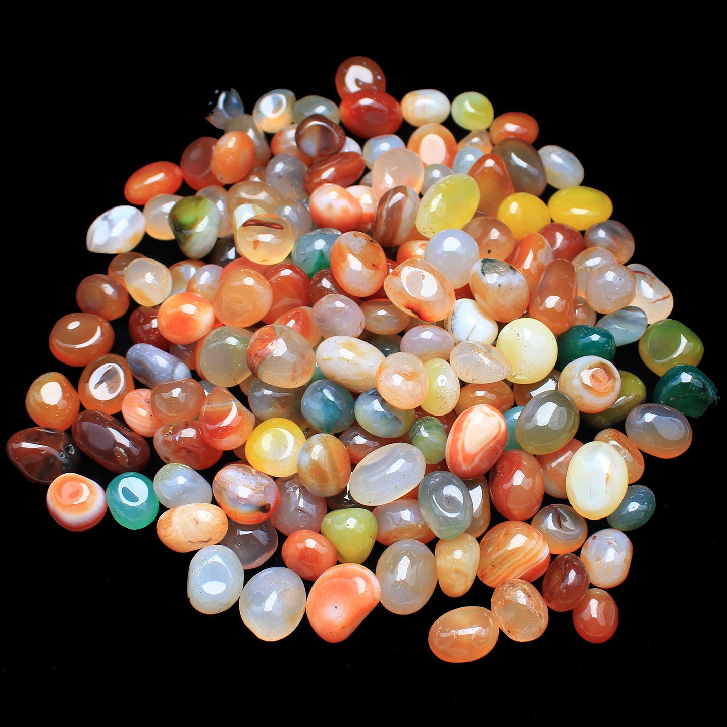 JH103 Natural Colorful Agate G - đánh giá và giá Aquarium Fish Rainbow