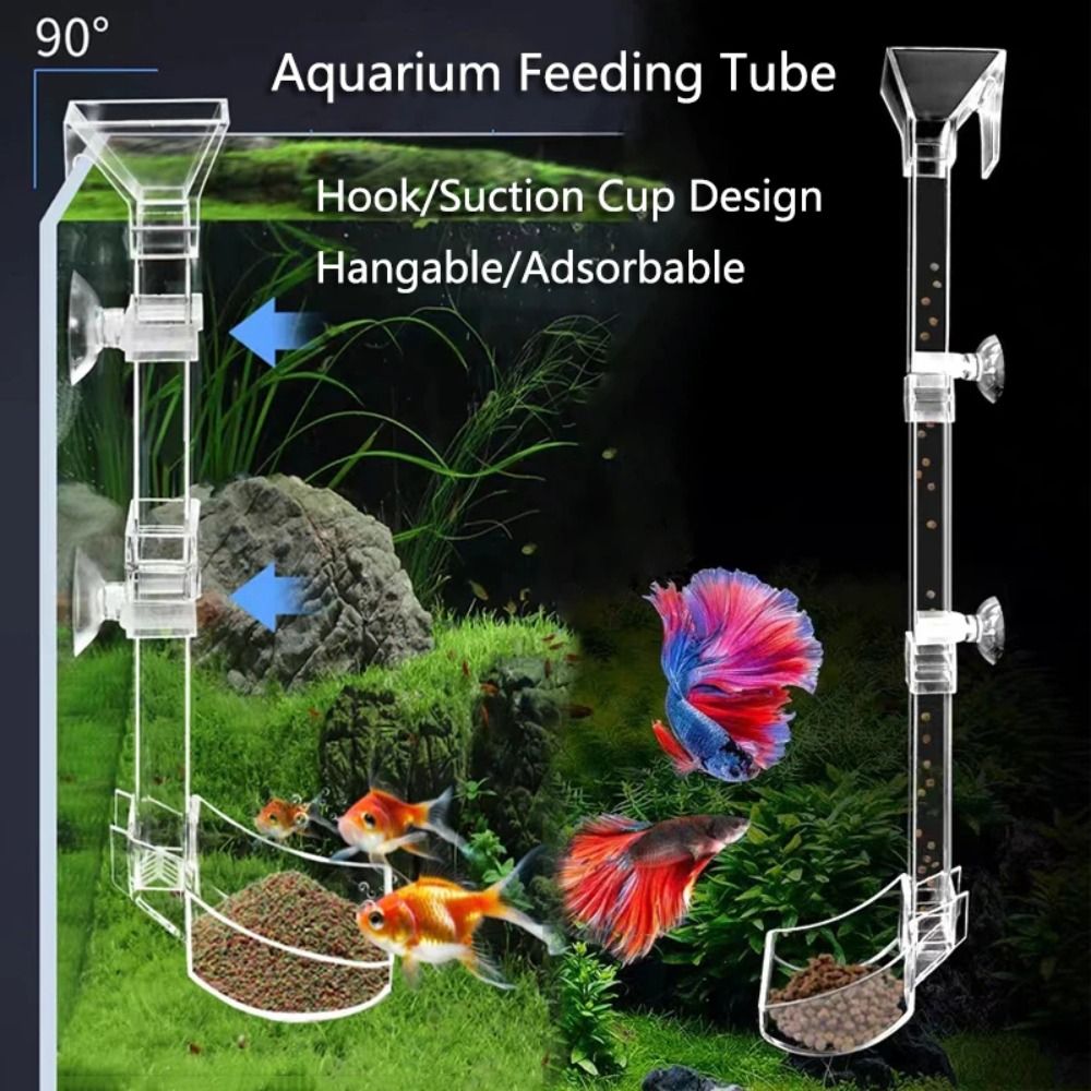 Transparent Aquarium Fish Tank - đánh giá và giá Aquarium Fish Price