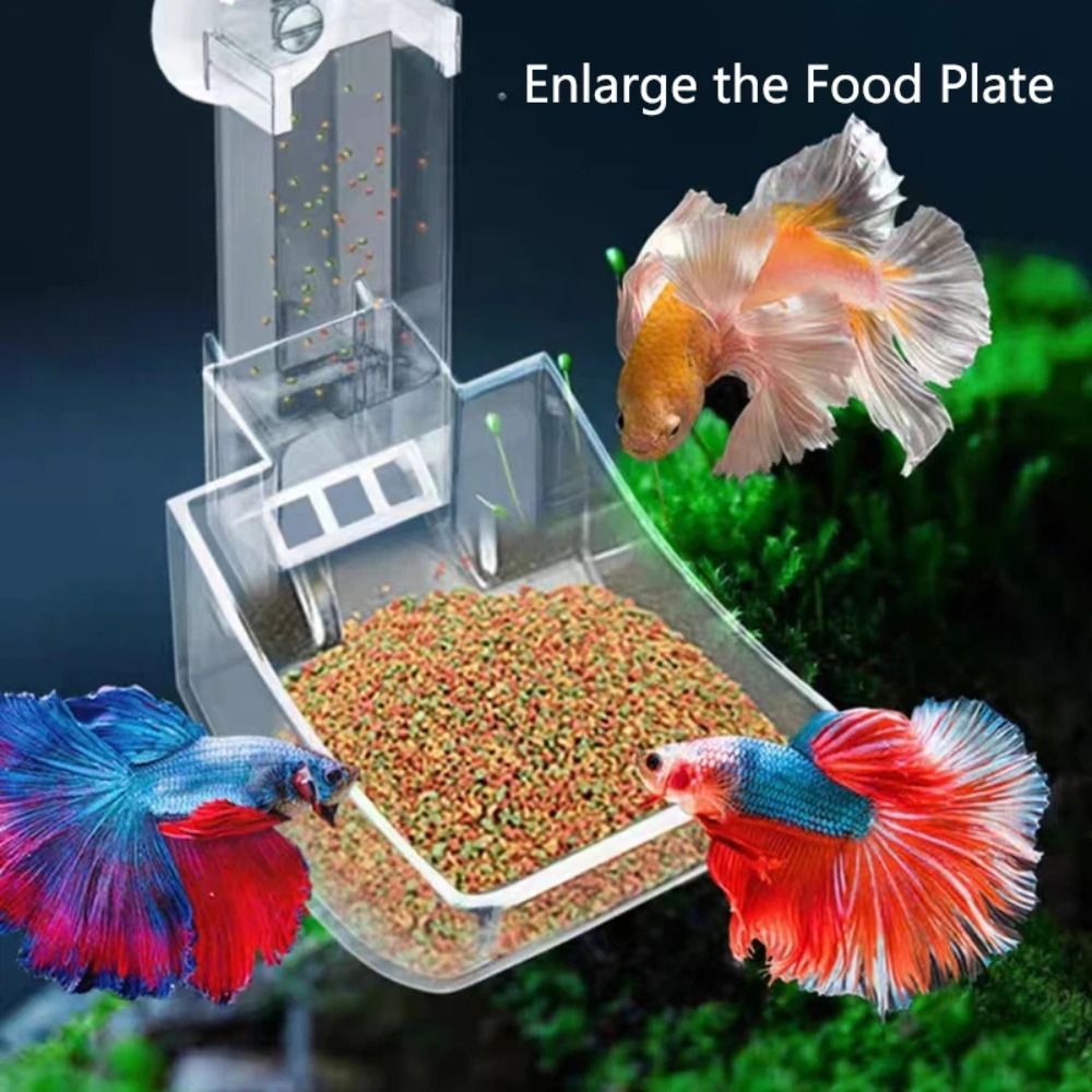 Transparent Aquarium Fish Tank - đánh giá và giá Aquarium Fish Price