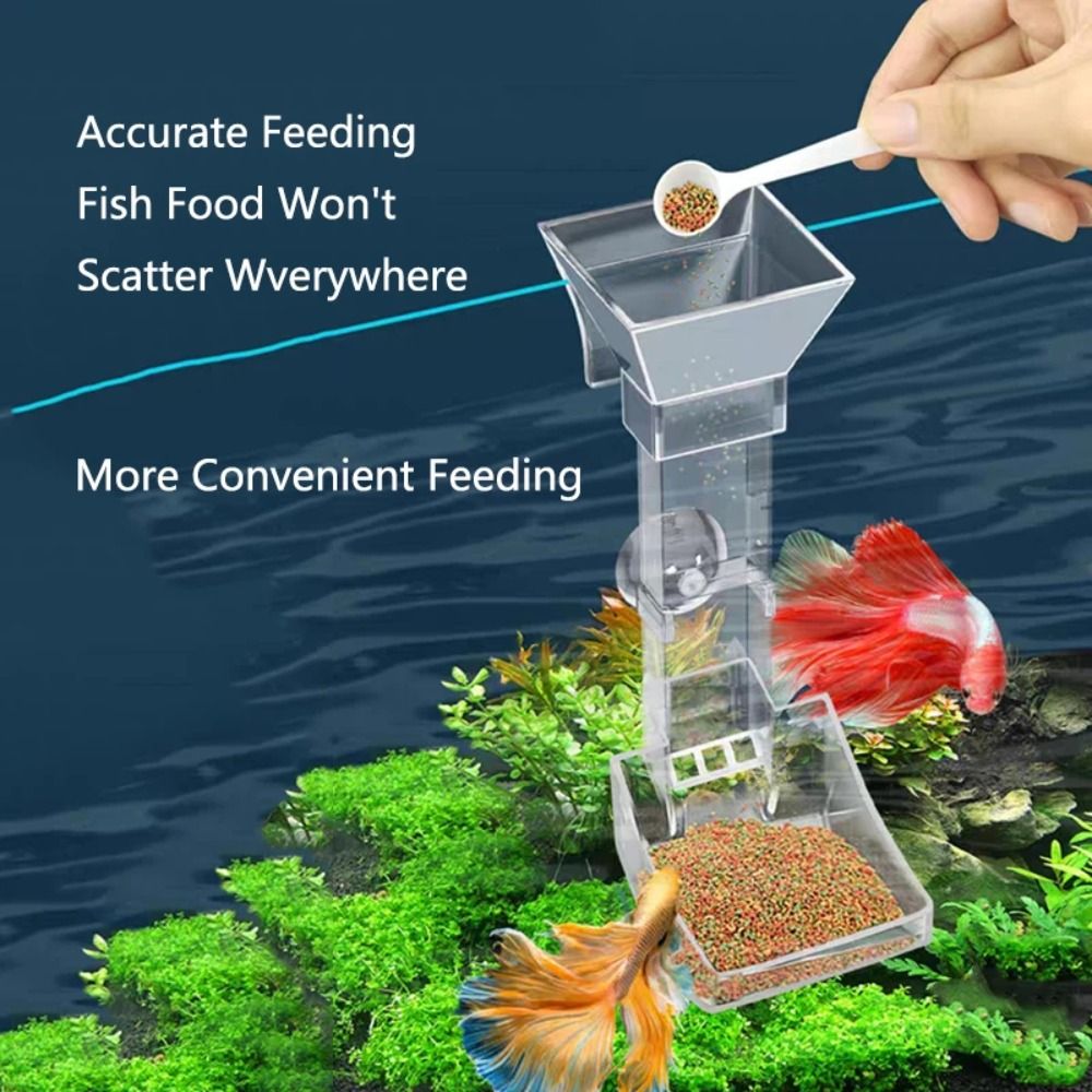 Transparent Aquarium Fish Tank - đánh giá và giá Aquarium Fish Price