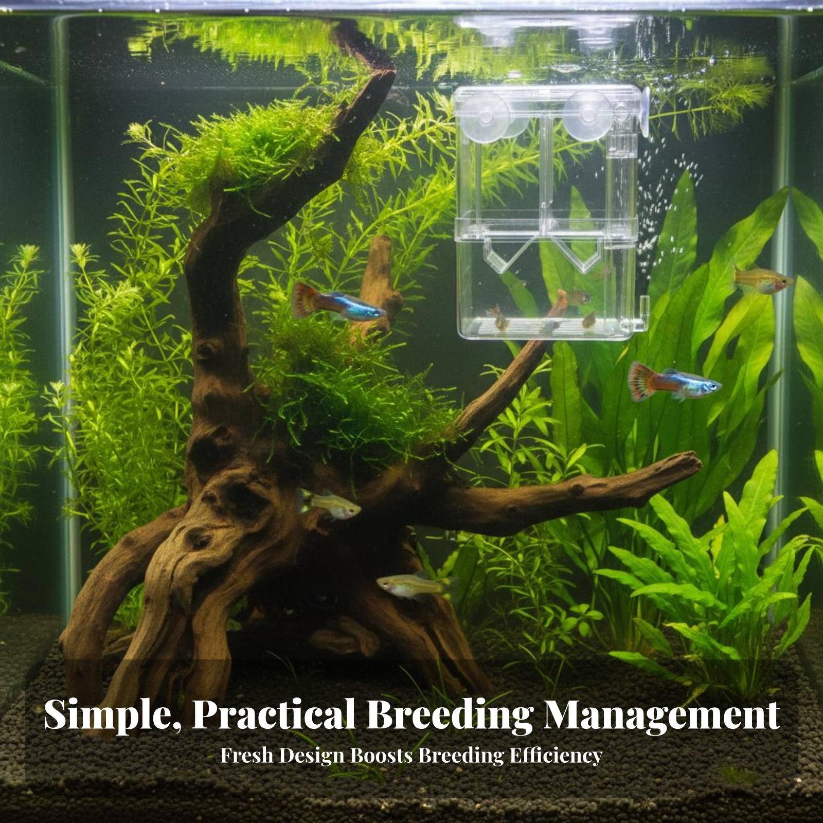 Double Layer Aquarium Breeding - đánh giá và giá Aquarium Fish Usa