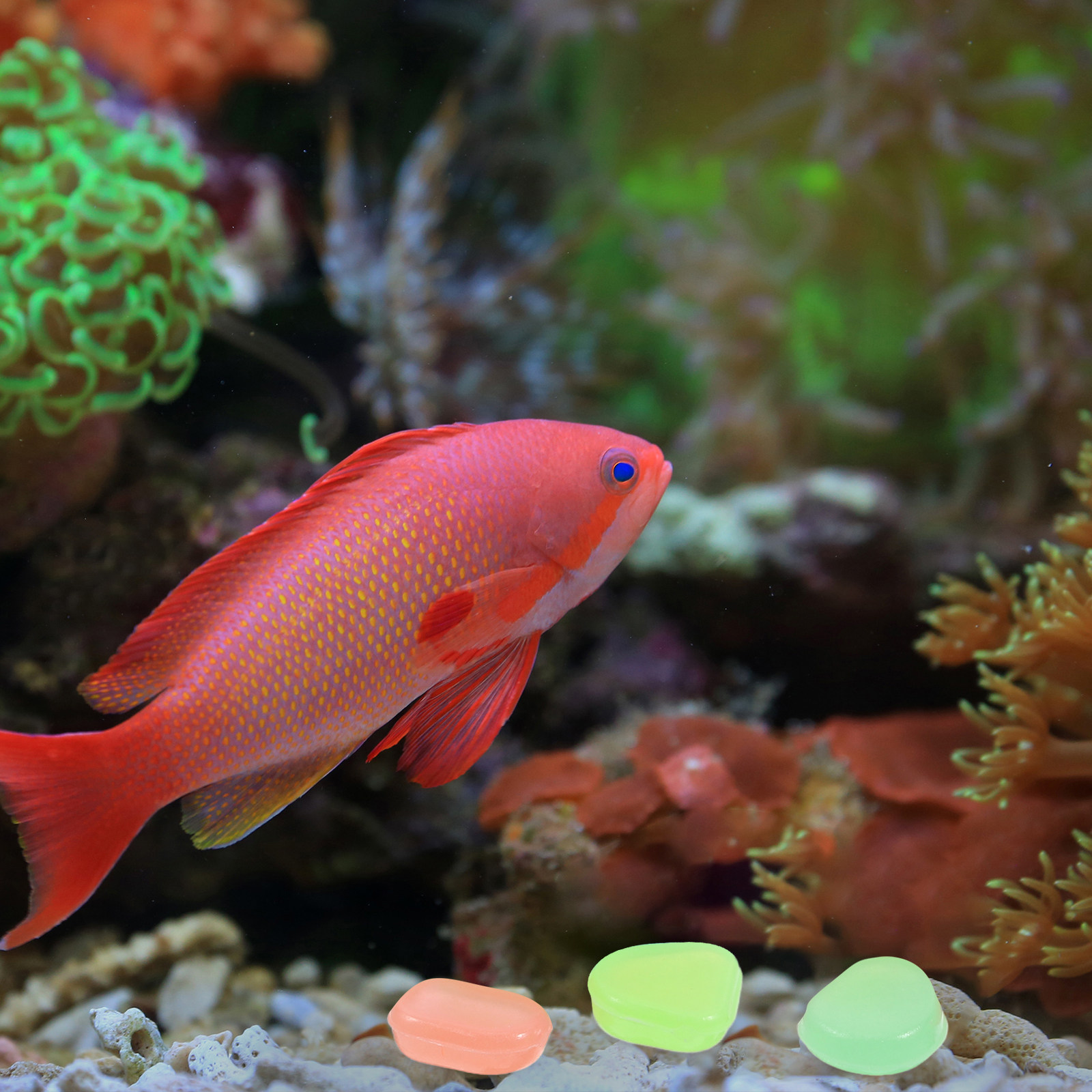 400Pcs Glow in The Dark Pebble - đánh giá và giá Aquarium Fish Glow In The Dark