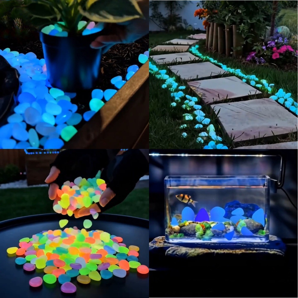 Colorful Glow In The Dark Lumi - đánh giá và giá Aquarium Fish Pot