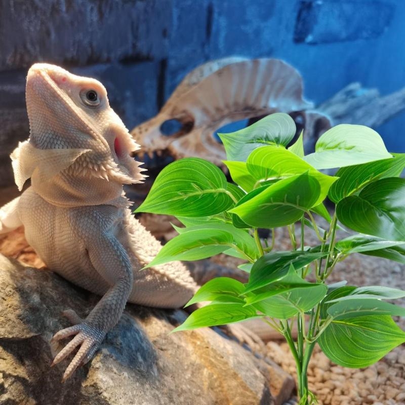 Cá nhân tạo cá trồng cá thể tr - đánh giá và giá Aquarium Fish Artificial