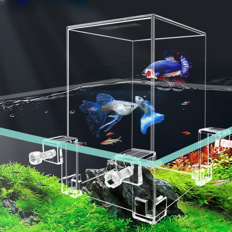Creative Aquarium Tanks Negati - đánh giá và giá Aquarium Fish Pot