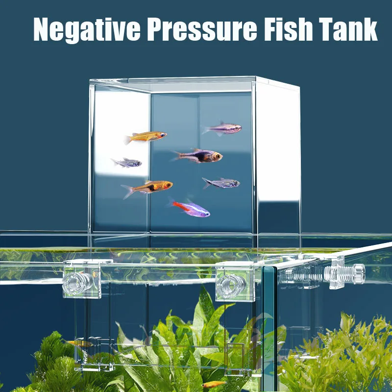 Creative Aquarium Tanks Negati - đánh giá và giá Aquarium Fish Pot