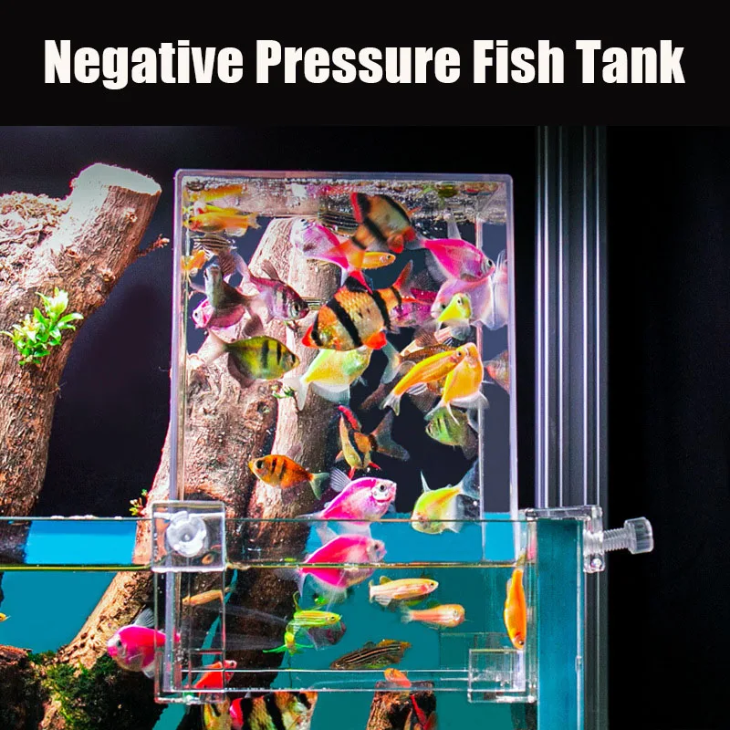 Creative Aquarium Tanks Negati - đánh giá và giá Aquarium Fish Pot