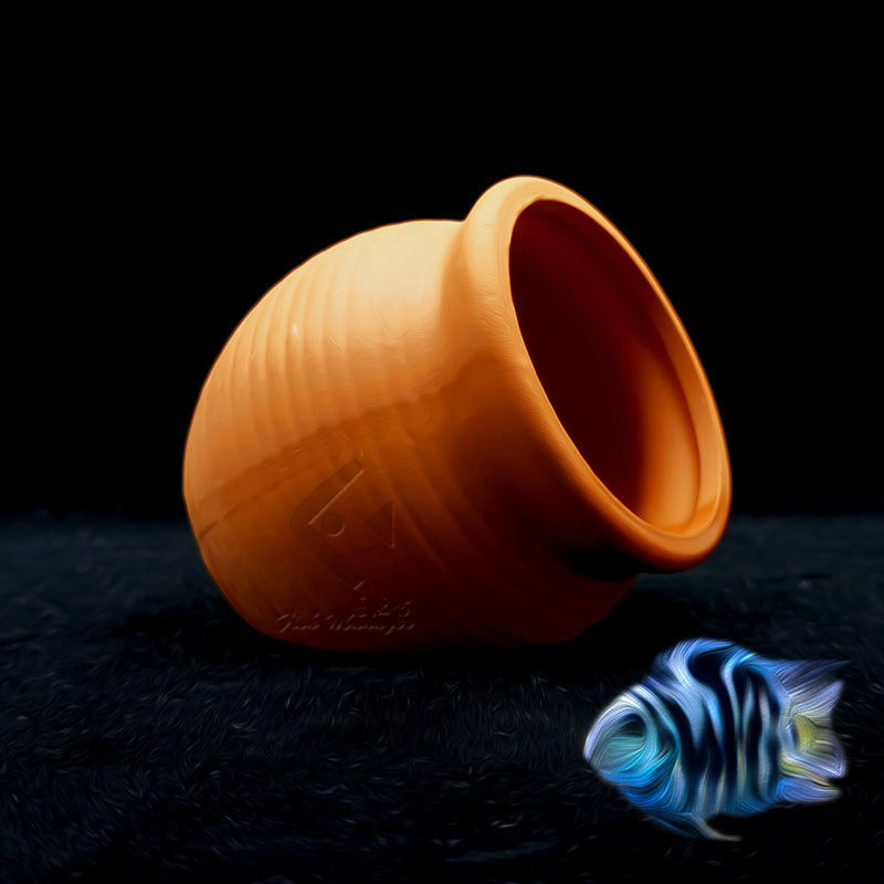 Bể Cá Cảnh Mini Gốm Bể Cá Tôm  - đánh giá và giá Aquarium Fish Pot