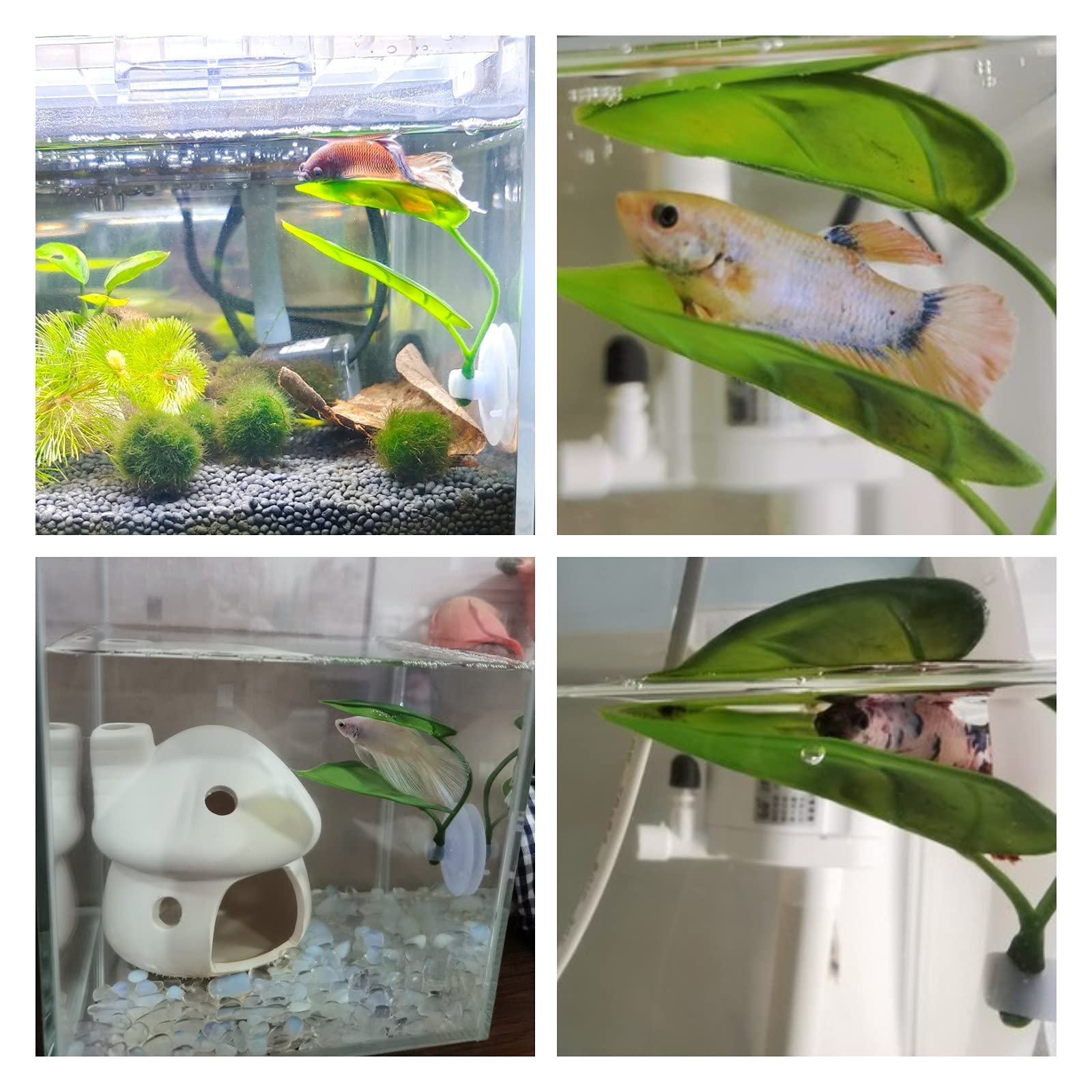 Pets Fish Tank Decor Betta Rel - đánh giá và giá Aquarium Fish Artificial