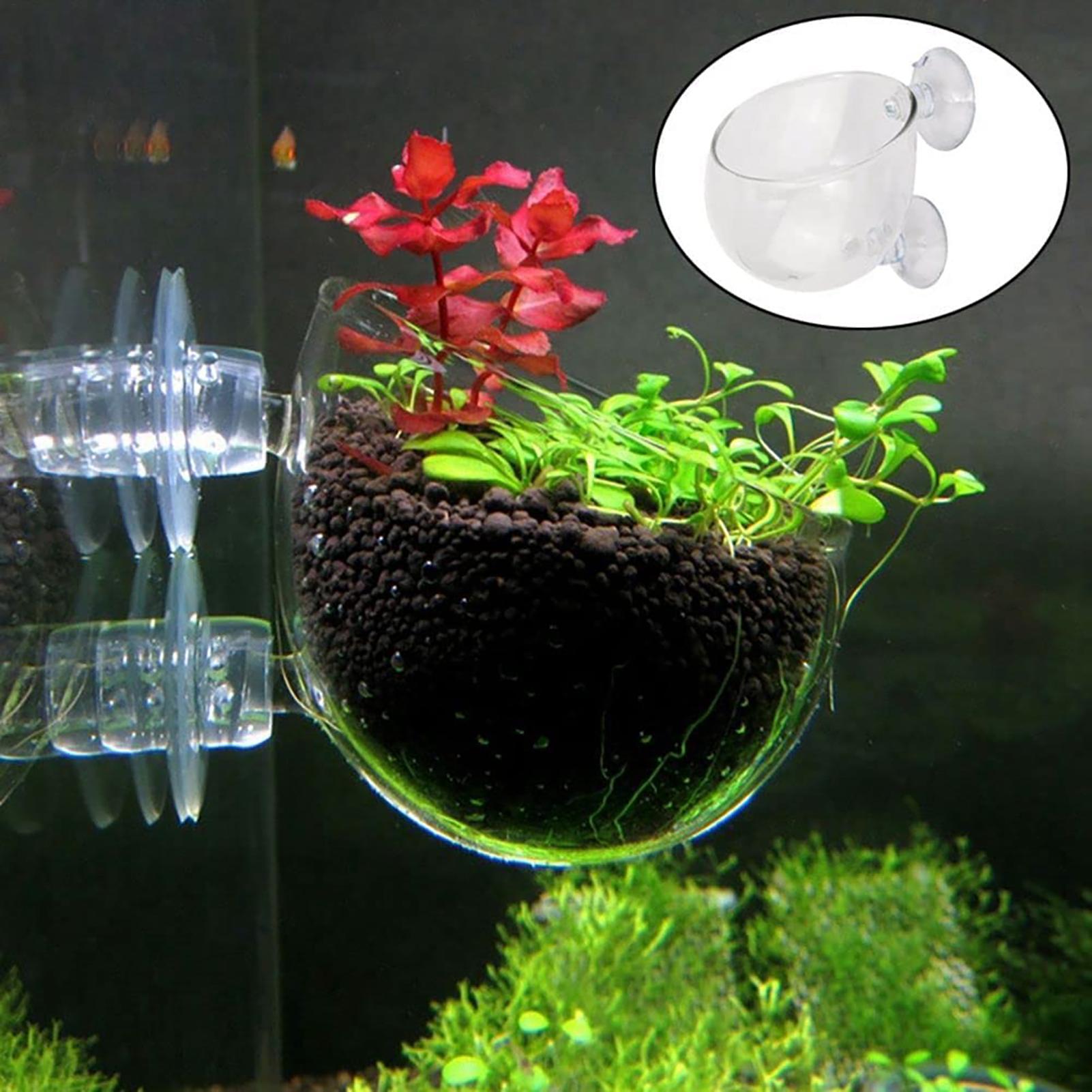 Aquatic Plant Pot Clear Acryli - đánh giá và giá Aquarium Fish Pot