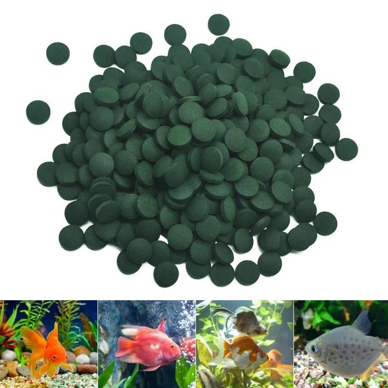 50-300Pcs High Purity Spirulin - đánh giá và giá Aquarium Fish Price