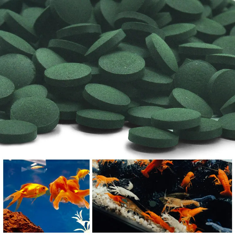 50-300Pcs High Purity Spirulin - đánh giá và giá Aquarium Fish Price