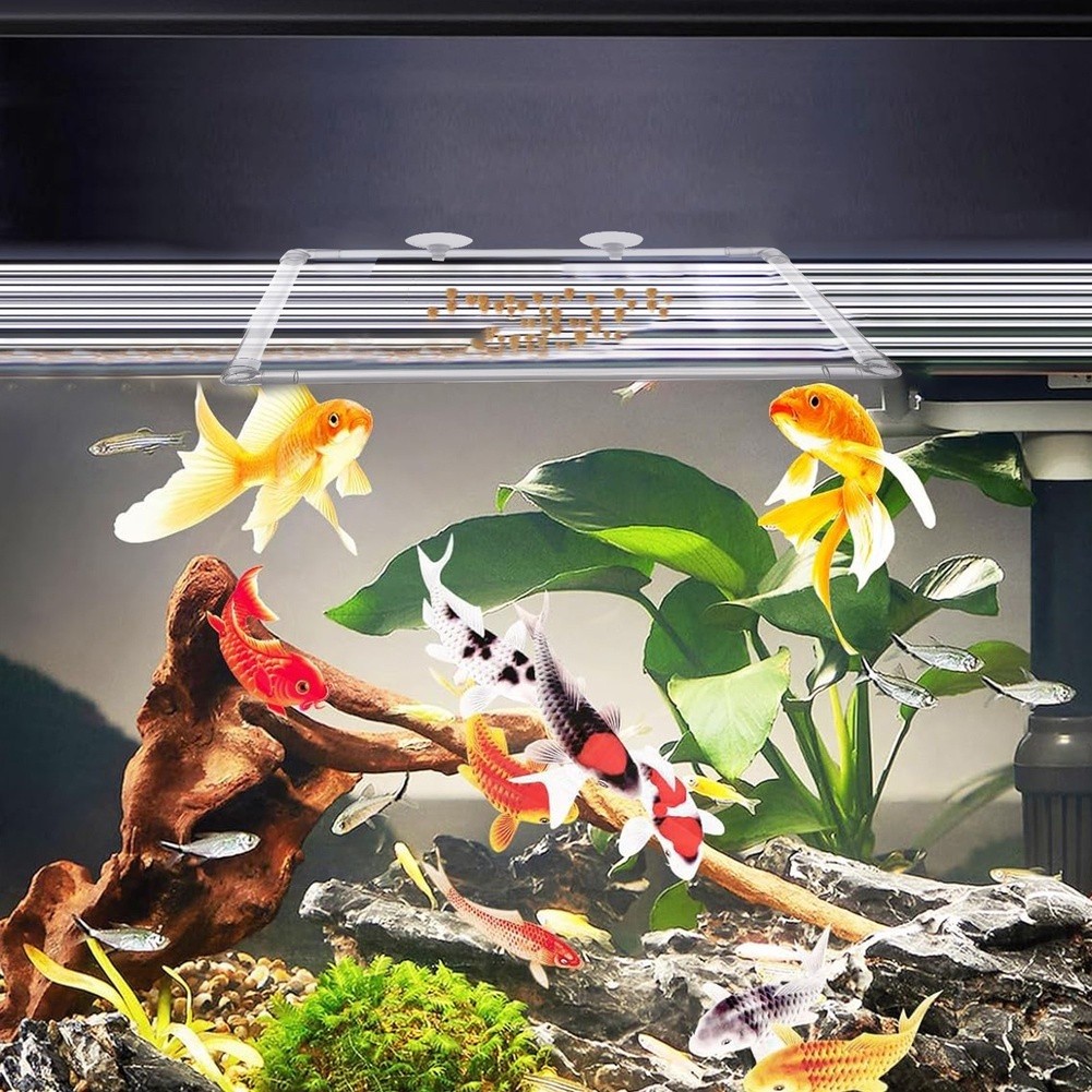 Aquarium Floating Plant Corral - đánh giá và giá Aquarium Fish Zone
