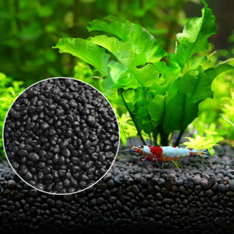 Bể Cá Cảnh Vật Có Hạt Đất Fish - đánh giá và giá Aquarium Fish Price