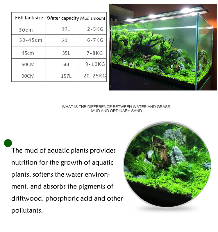Bể Cá Cảnh Vật Có Hạt Đất Fish - đánh giá và giá Aquarium Fish Price