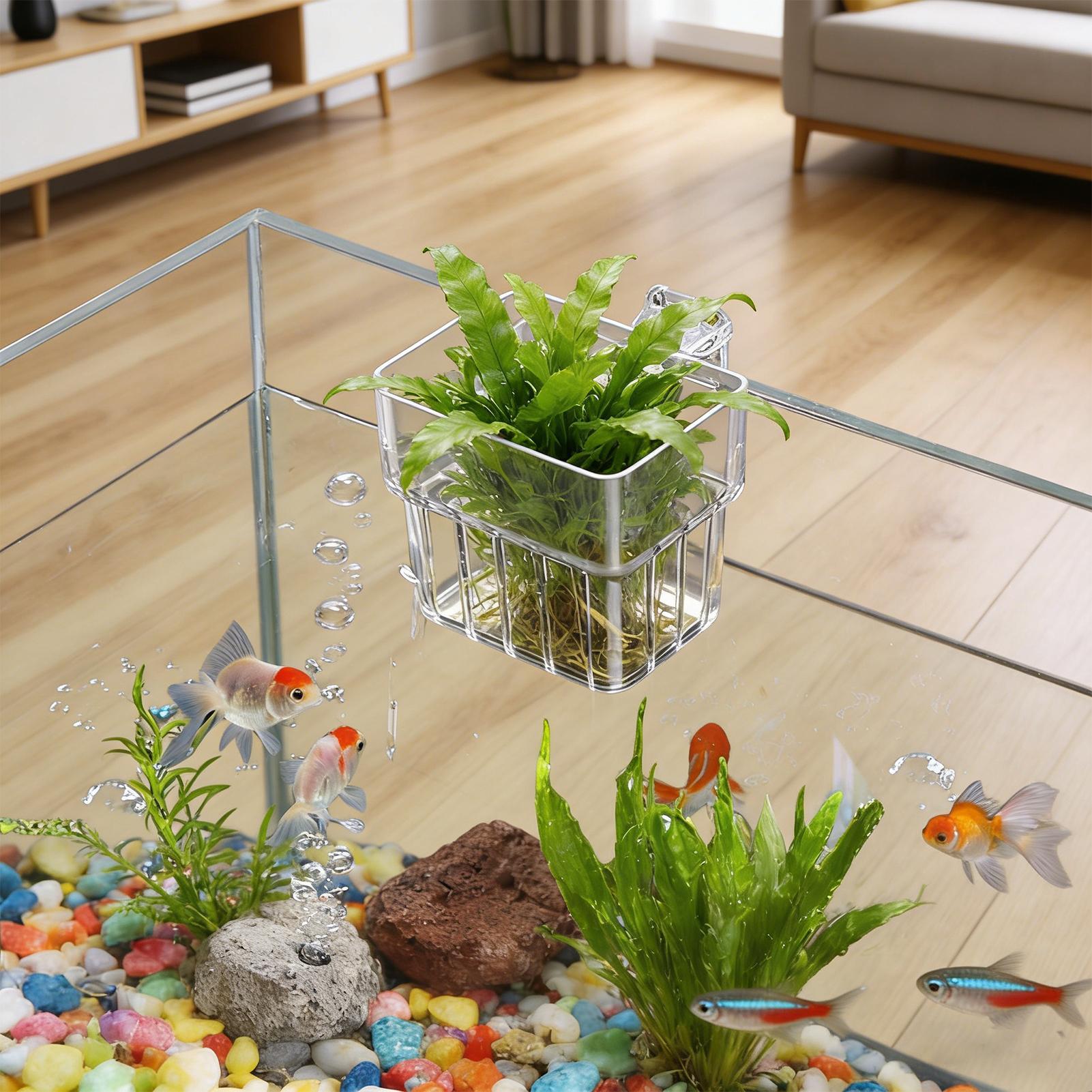 Aquarium Transparent Hanger Po - đánh giá và giá Aquarium Fish Pot