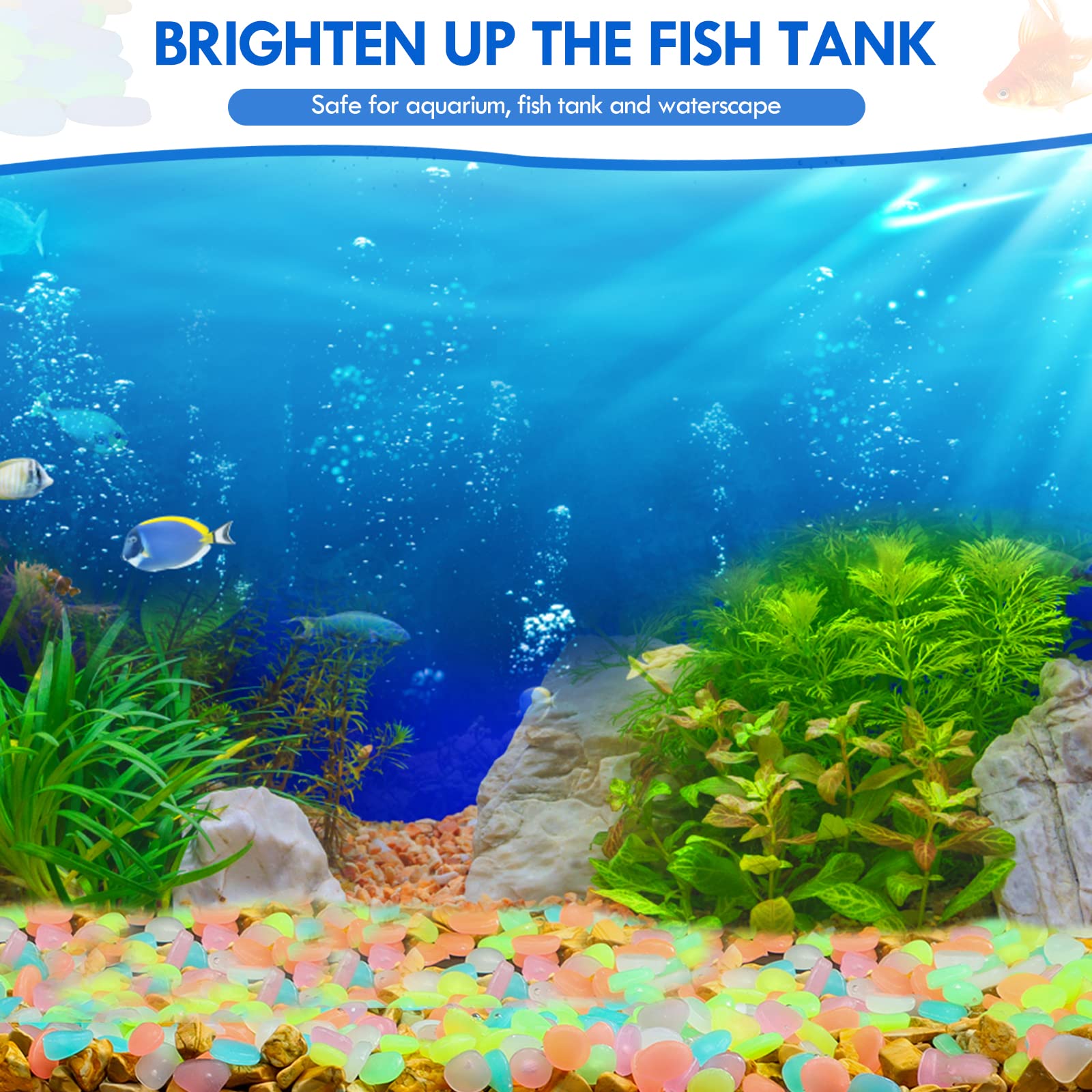 100Pcs Glow in the Dark Garden - đánh giá và giá Aquarium Fish Glow In The Dark