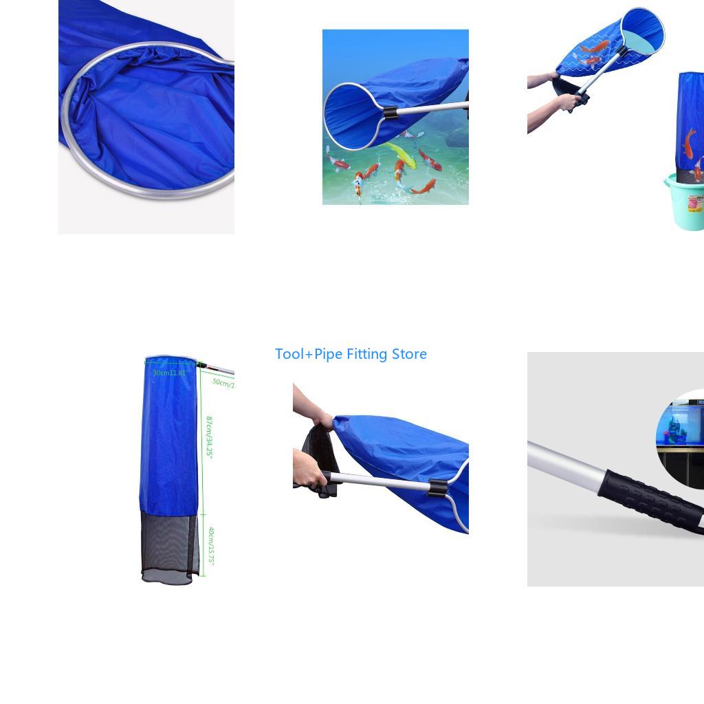F92B Sinh Vật Bể Cá Nhật Bản M - đánh giá và giá Aquarium Fish Japanese