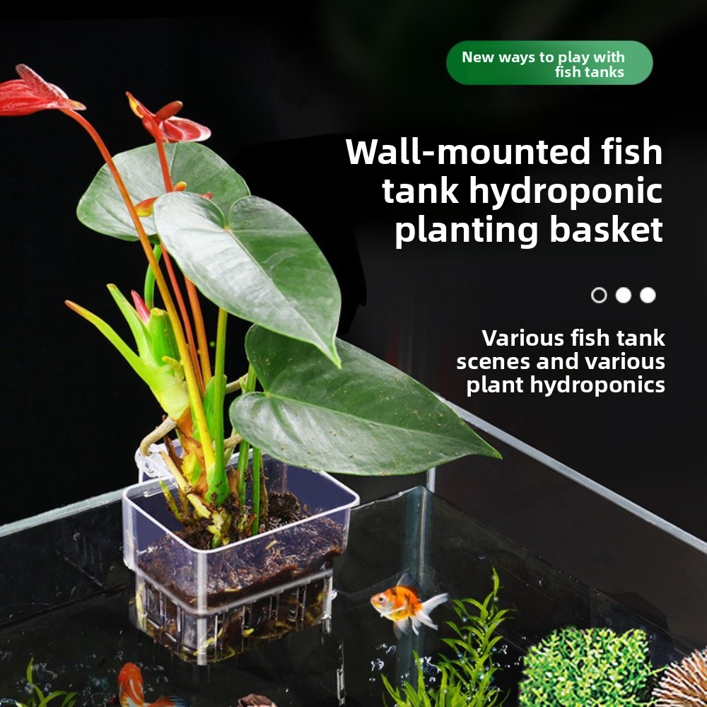 Aquarium Hydroponic Planting B - đánh giá và giá Aquarium Fish Pot