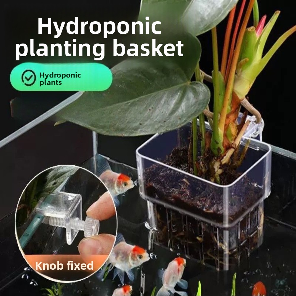 Aquarium Hydroponic Planting B - đánh giá và giá Aquarium Fish Pot