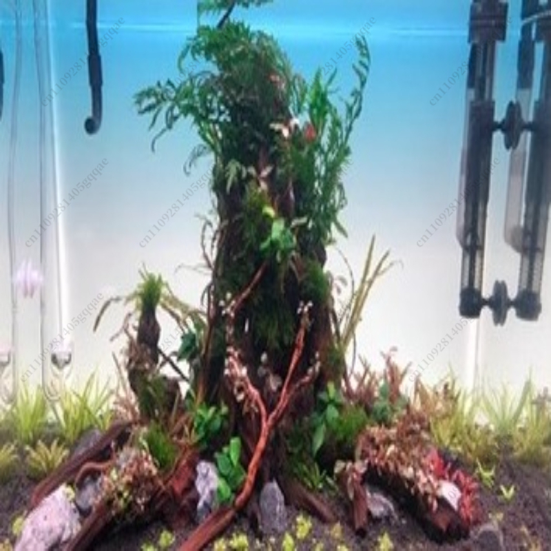 Fish Tank Background Board LED - đánh giá và giá Aquarium Fish Rainbow
