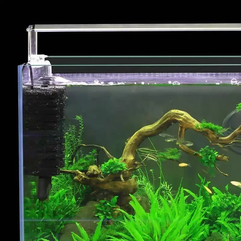 3-IN-1 Clip on Electric Power  - đánh giá và giá Aquarium Fish Electric