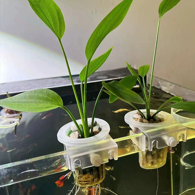Aquarium Planting Basket Hydro - đánh giá và giá Aquarium Fish Pot