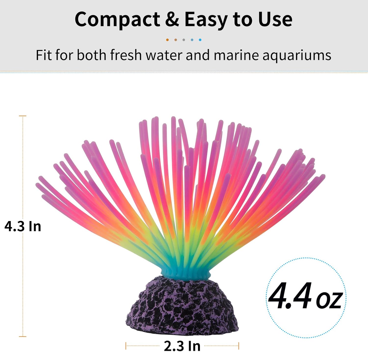 Aquarium Imitative Rainbow Sea - đánh giá và giá Aquarium Fish Rainbow